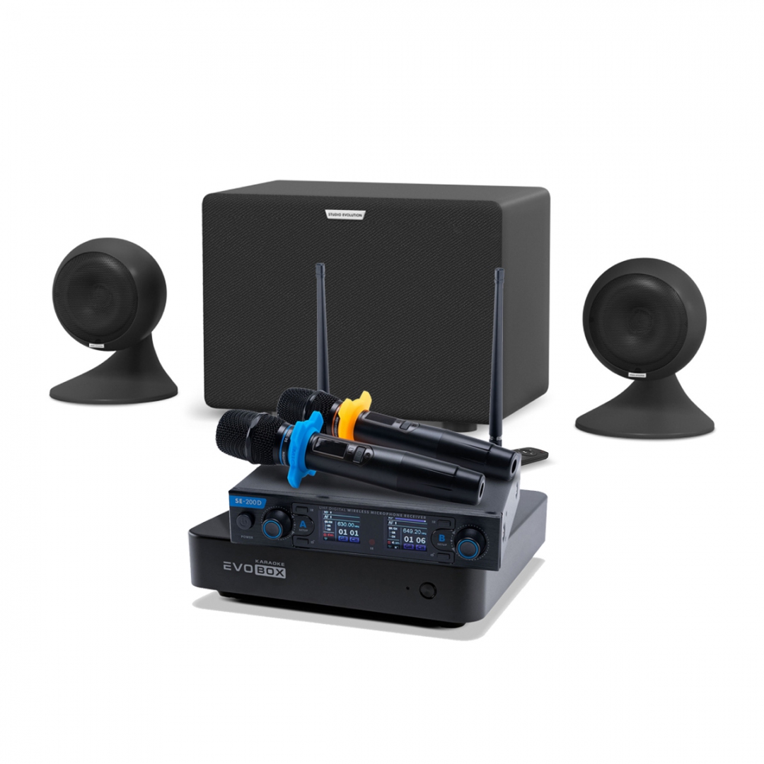 караоке-комплект EVOBOX + EvoSound Sphere 2.1 в Адыгейске