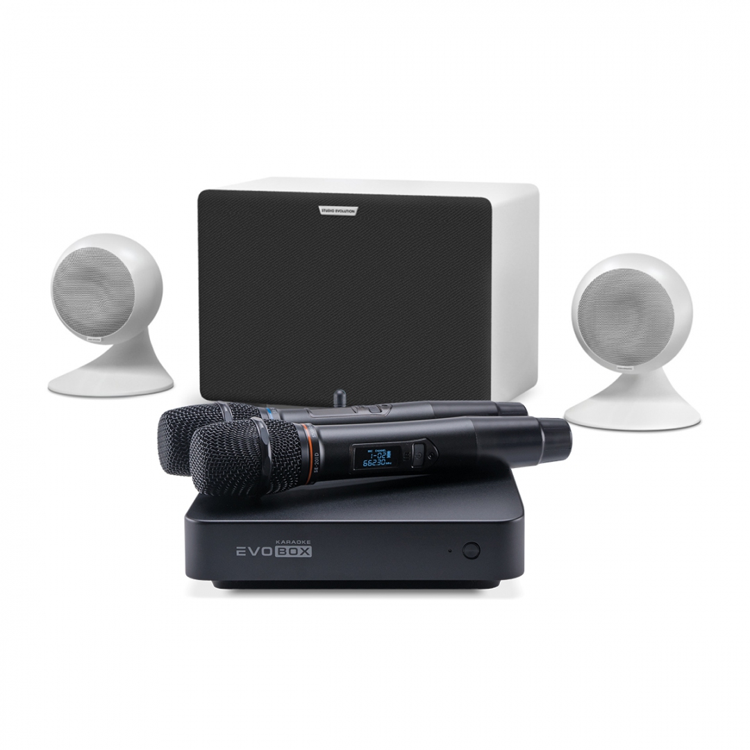 караоке-комплект EVOBOX Classic + EvoSound Sphere 2.1 в Адыгейске