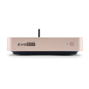 EVOBOX Classic караоке-система для дома в Адыгейске