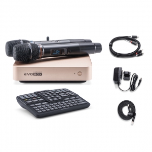 EVOBOX Plus караоке-система для дома в Адыгейске