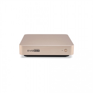 EVOBOX с микрофонами в Адыгейске